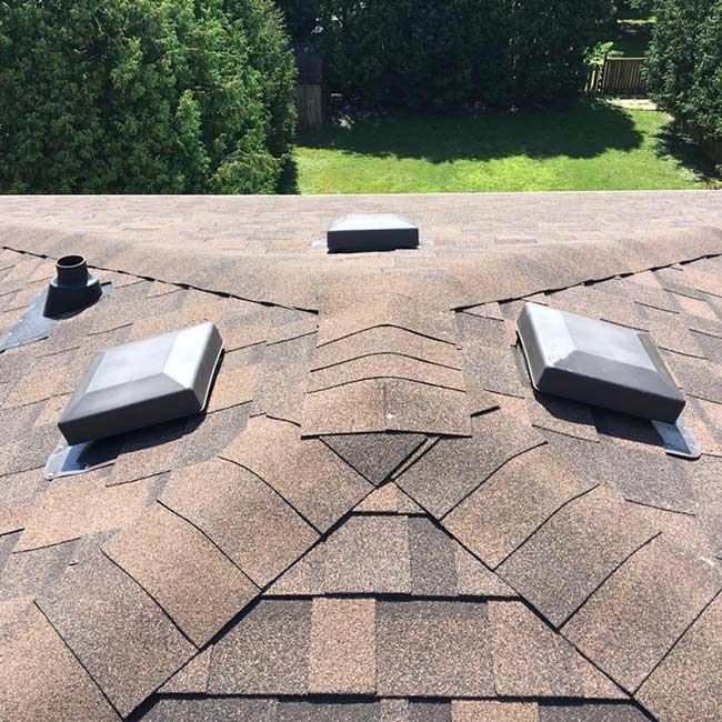 Asphalt Shingle Roof