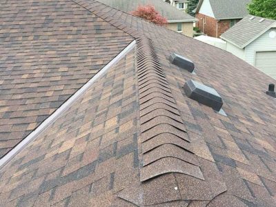 Roof Shingle Options