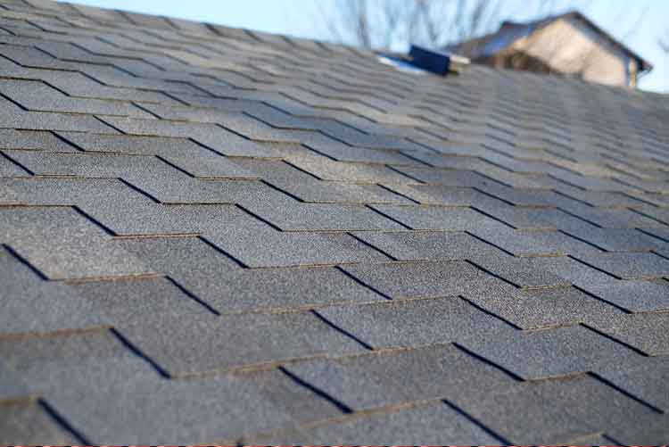 professional roofing